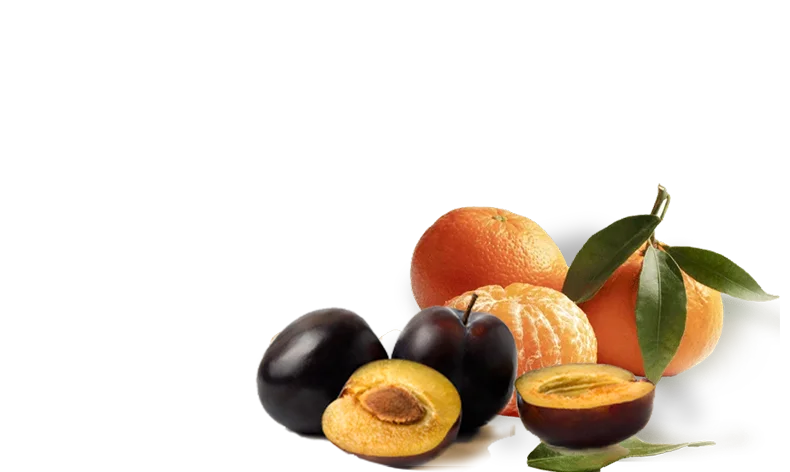 Campos Roa tangerine and plum coffee flavours