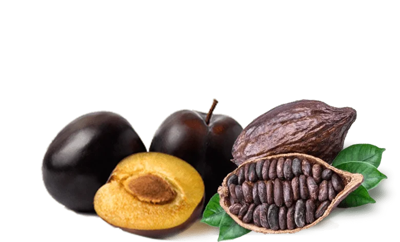 plum cocoa